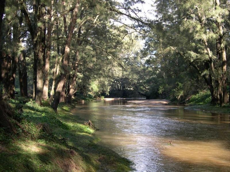 209 Rilys Road, Coolagolite, Bermagui NSW 2546