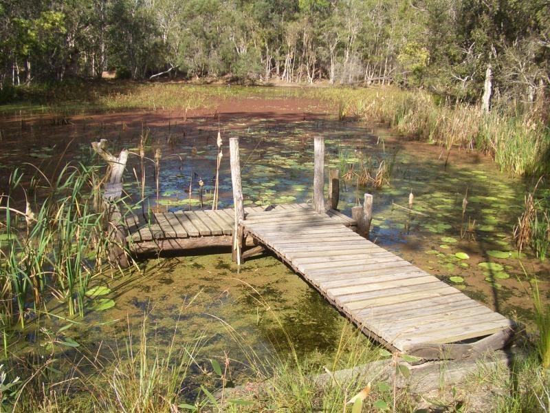 209 Rilys Road, Coolagolite, Bermagui NSW 2546