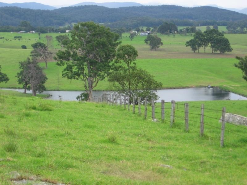 355 Green Tyrells Road, Coolagolite, Bermagui NSW 2546