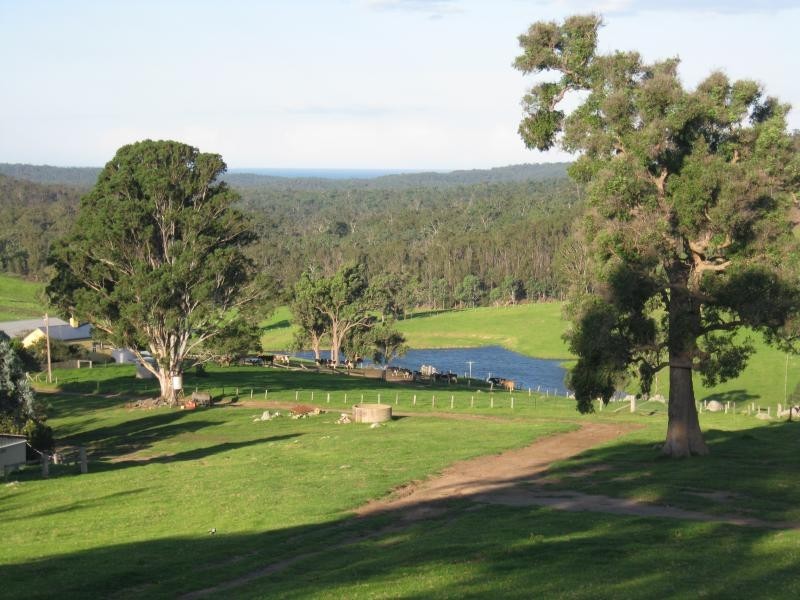 355 Green Tyrells Road, Coolagolite, Bermagui NSW 2546