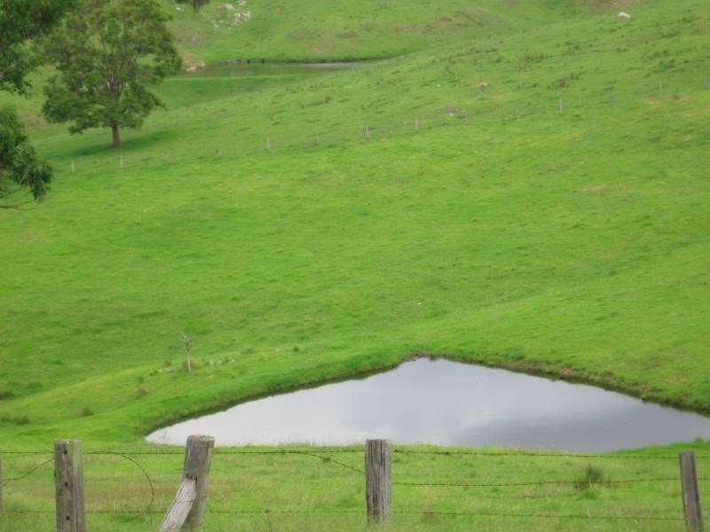 355 Green Tyrells Road, Coolagolite, Bermagui NSW 2546