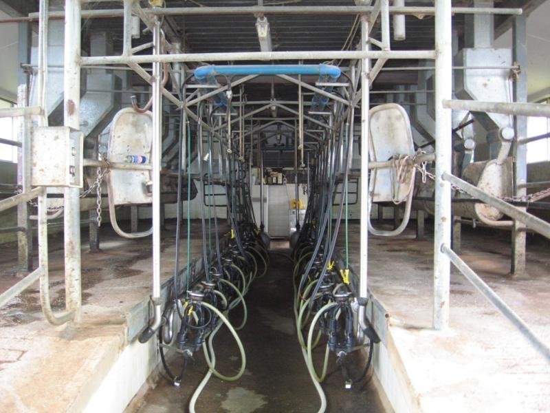 355 Green Tyrells Road, Coolagolite, Bermagui NSW 2546