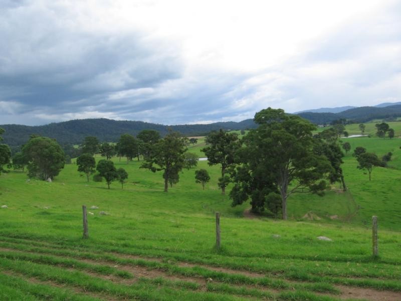 355 Green Tyrells Road, Coolagolite, Bermagui NSW 2546