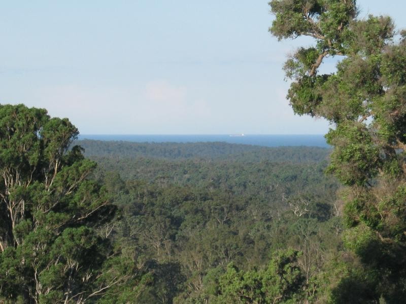 355 Green Tyrells Road, Coolagolite, Bermagui NSW 2546