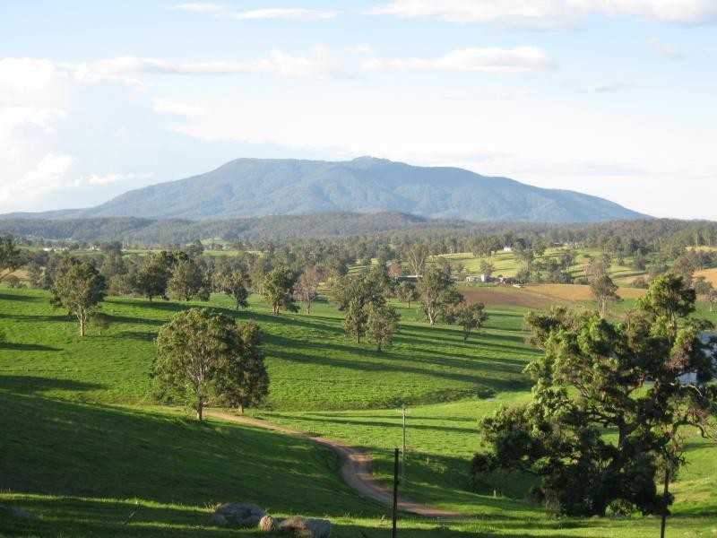 355 Green Tyrells Road, Coolagolite, Bermagui NSW 2546