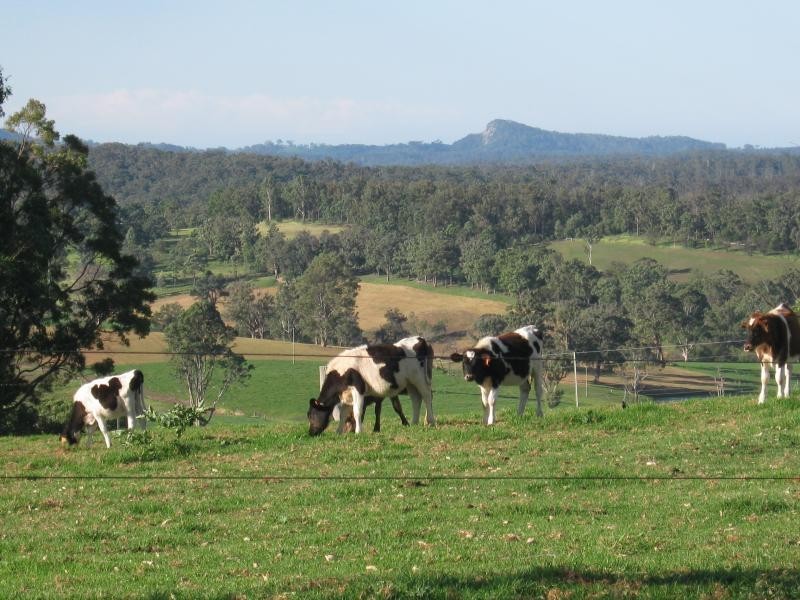 355 Green Tyrells Road, Coolagolite, Bermagui NSW 2546