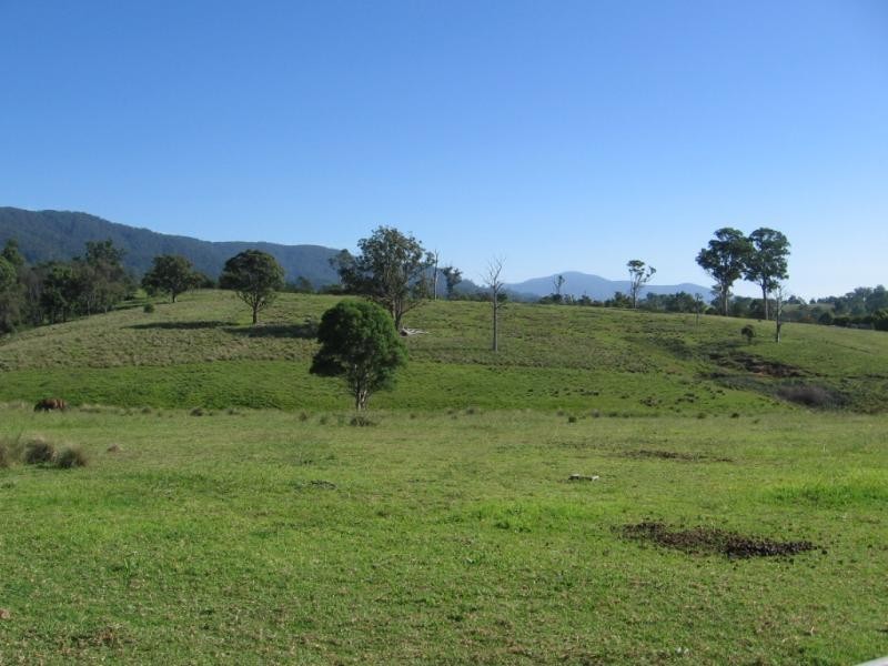 166 Terlichs Road, Verona, Quaama NSW 2550