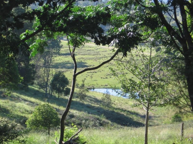 166 Terlichs Road, Verona, Quaama NSW 2550