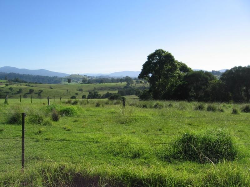 166 Terlichs Road, Verona, Quaama NSW 2550