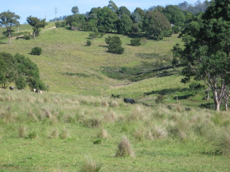 166 Terlichs Road, Verona, Quaama NSW 2550