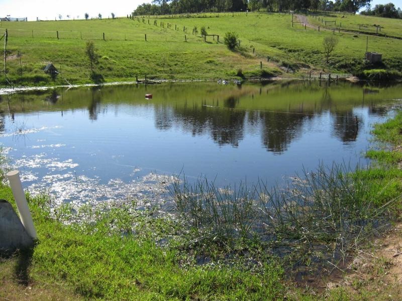 45 Upper Brogo Road, Verona, Cobargo NSW 2550