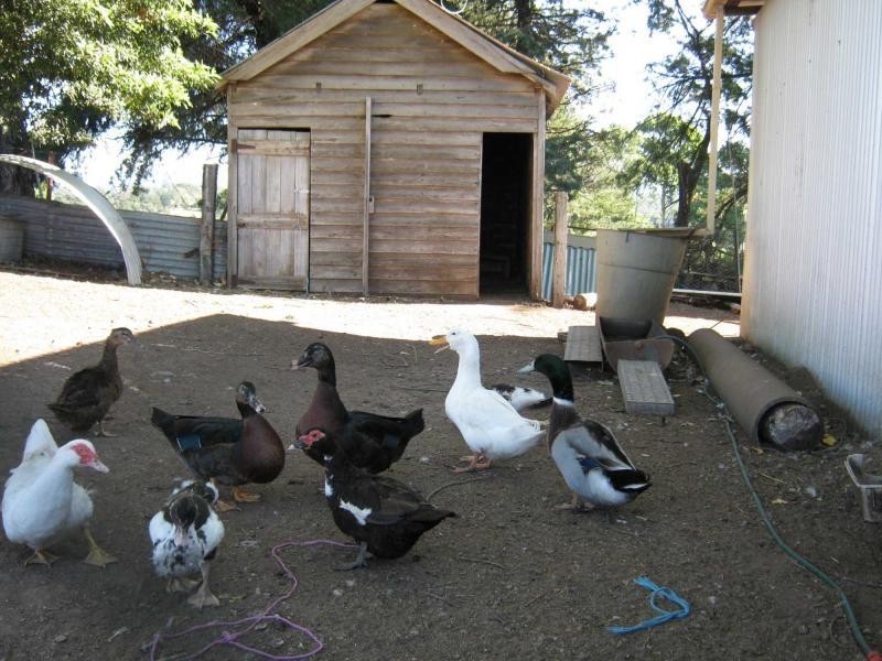 45 Upper Brogo Road, Verona, Cobargo NSW 2550