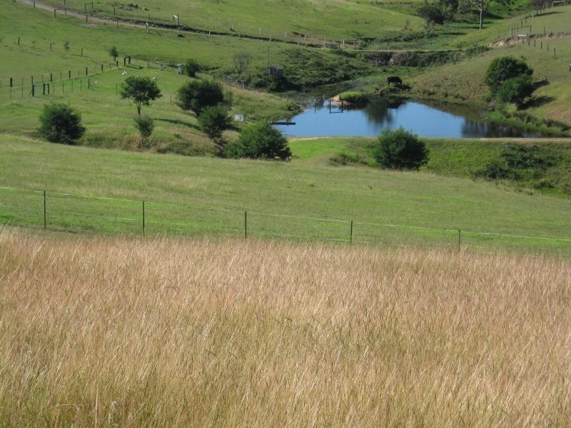 45 Upper Brogo Road, Verona, Cobargo NSW 2550