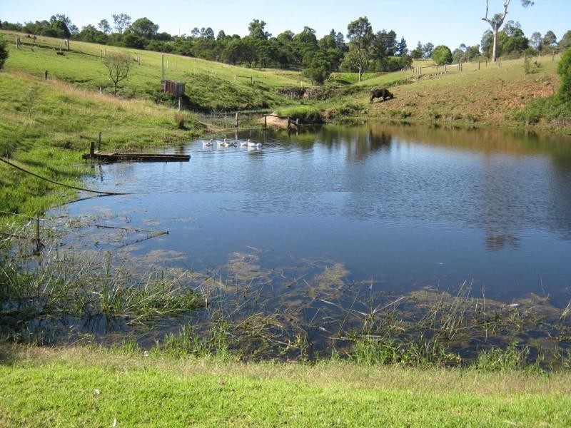 45 Upper Brogo Road, Verona, Cobargo NSW 2550