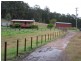 9860 Princes Highway, Cobargo NSW 2550