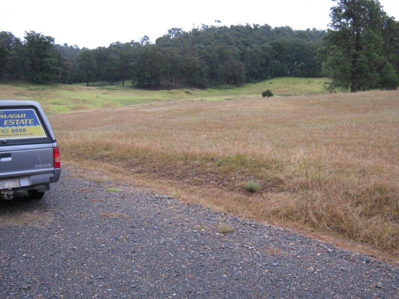 Lot 6 Narira Park Lane, Cobargo NSW 2550