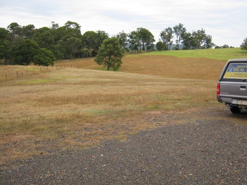 Lot 6 Narira Park Lane, Cobargo NSW 2550