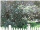 25. Bate Street, Central Tilba NSW 2546