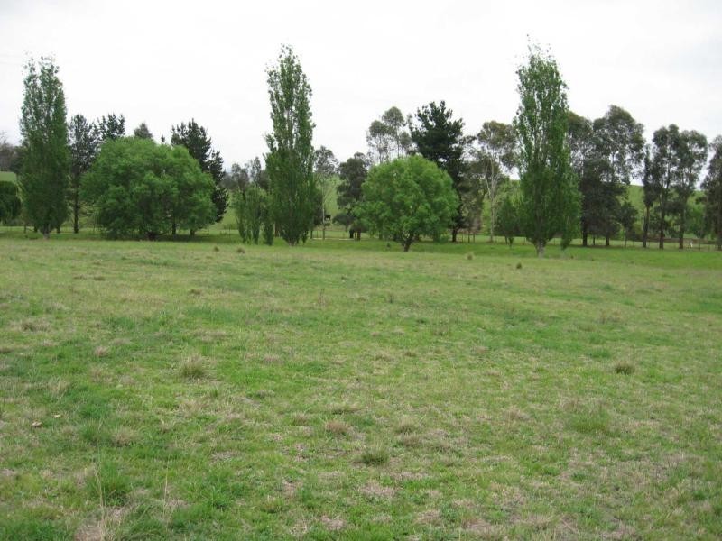 Lot 377. Murrabrine Lane, Cobargo NSW 2550