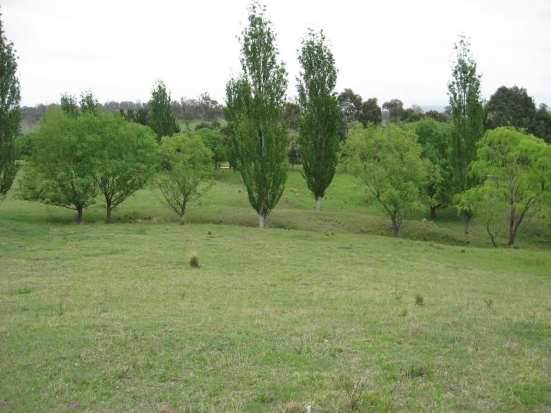 Lot 377. Murrabrine Lane, Cobargo NSW 2550