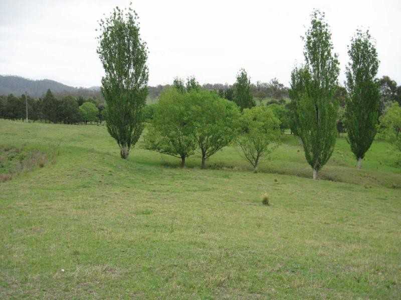 Lot 377. Murrabrine Lane, Cobargo NSW 2550