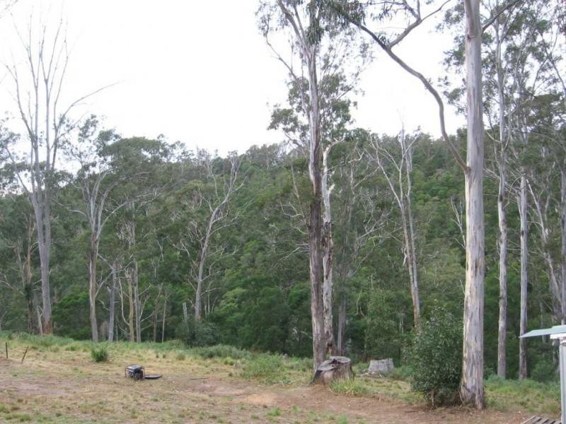 Lot 340 County Boundary Road, Yowrie, Cobargo NSW 2550