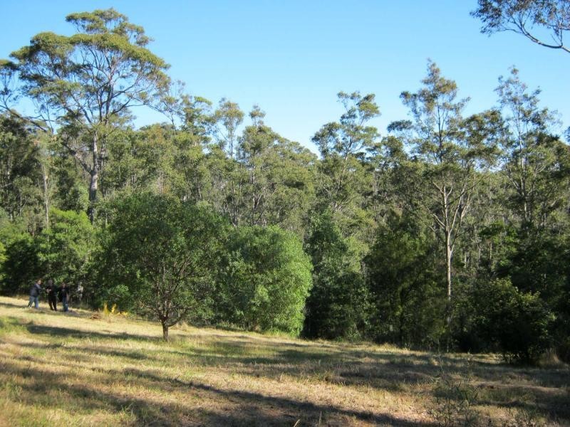 Lot 274 Nutleys Creek Road, Bermagui NSW 2546