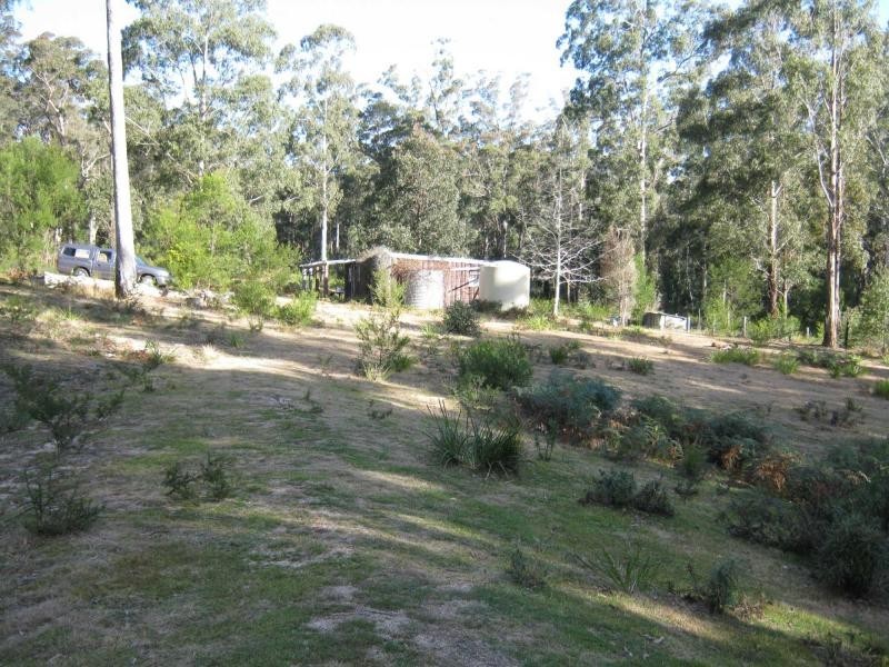 20 Murrabrine Forrest Road, Yowrie, Cobargo NSW 2550