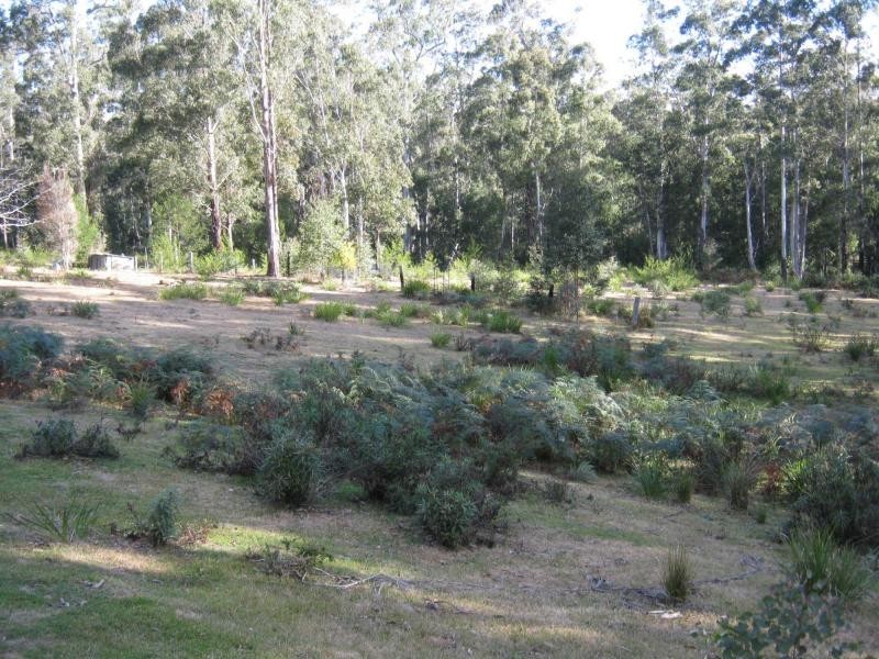 20 Murrabrine Forrest Road, Yowrie, Cobargo NSW 2550