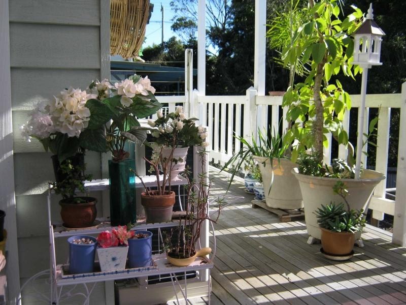 5 Hart Street, Bermagui NSW 2546