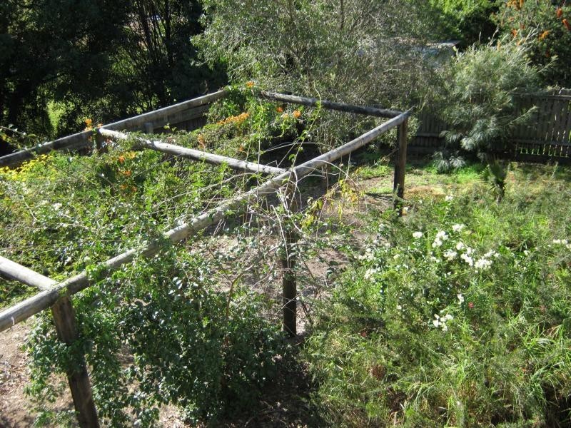 5 Hart Street, Bermagui NSW 2546