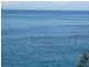 1 Scenic Drive, Bermagui NSW 2546