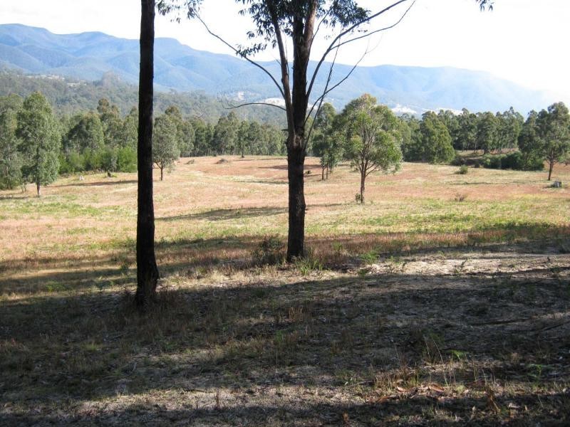 Lot 982 Yowrie Road, Yowrie, Cobargo NSW 2550