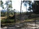 Lot 982 Yowrie Road, Yowrie, Cobargo NSW 2550