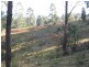 Lot 982 Yowrie Road, Yowrie, Cobargo NSW 2550