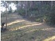Lot 982 Yowrie Road, Yowrie, Cobargo NSW 2550