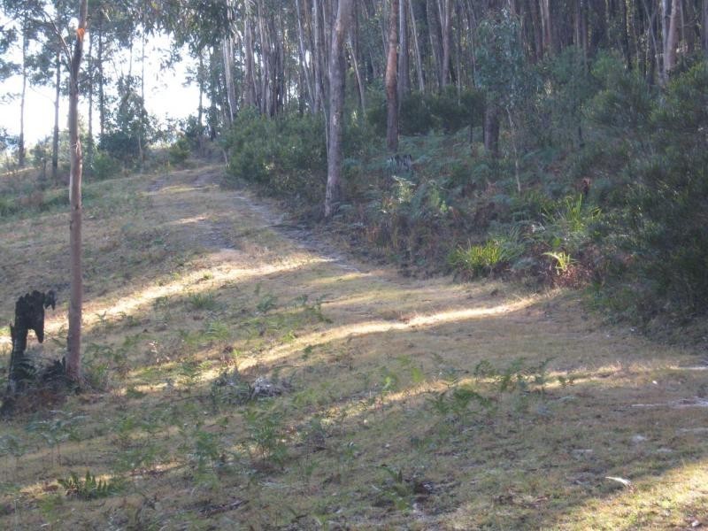 Lot 982 Yowrie Road, Yowrie, Cobargo NSW 2550