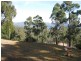 Lot 982 Yowrie Road, Yowrie, Cobargo NSW 2550