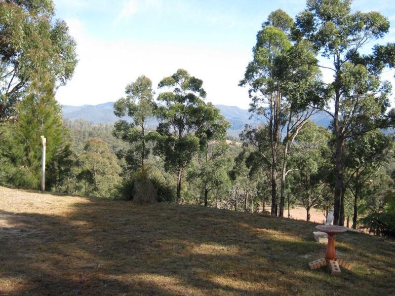 Lot 982 Yowrie Road, Yowrie, Cobargo NSW 2550