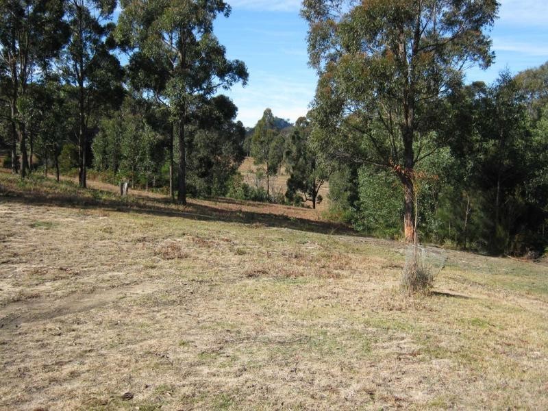 Lot 982 Yowrie Road, Yowrie, Cobargo NSW 2550