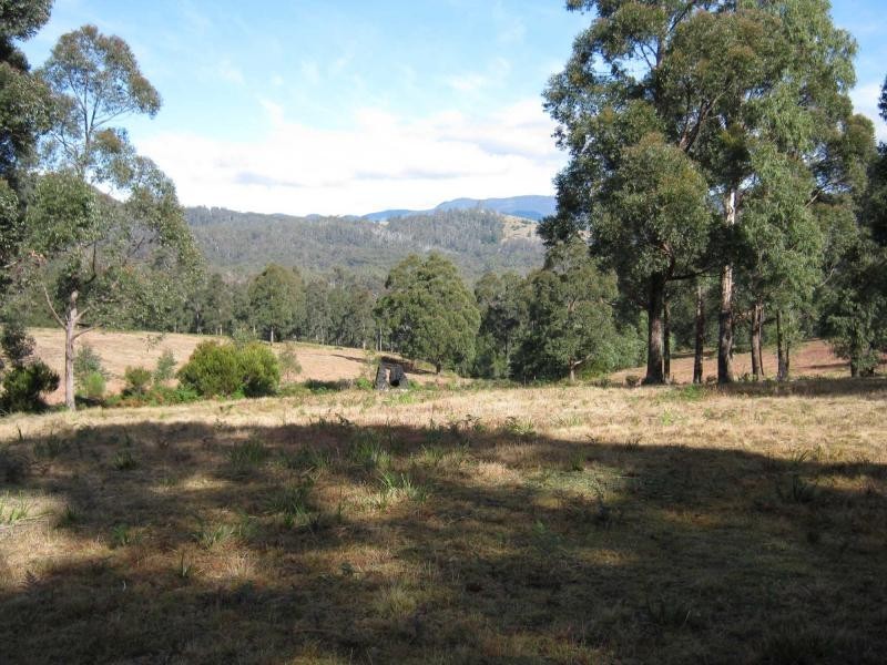 Lot 982 Yowrie Road, Yowrie, Cobargo NSW 2550