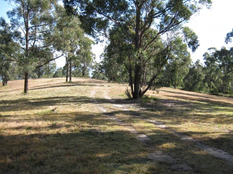 Lot 982 Yowrie Road, Yowrie, Cobargo NSW 2550