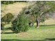 14 Dawn Parade, Kianga, Kianga NSW 2546