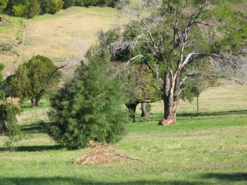 14 Dawn Parade, Kianga, Kianga NSW 2546