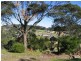 14 Dawn Parade, Kianga, Kianga NSW 2546