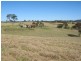 10930 Princes Highway, Cobargo NSW 2550