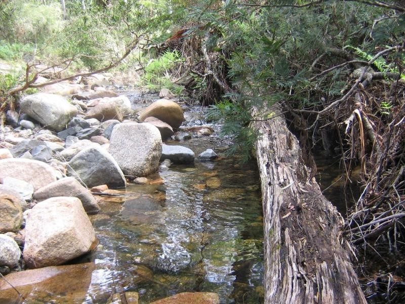 690 Illawambra Valley Road, Yowrie, Cobargo NSW 2550