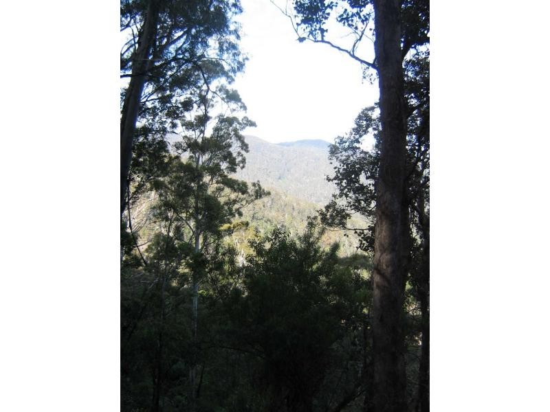 690 Illawambra Valley Road, Yowrie, Cobargo NSW 2550