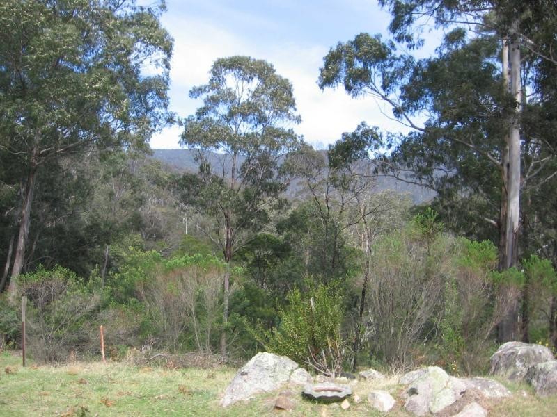 690 Illawambra Valley Road, Yowrie, Cobargo NSW 2550