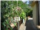 2 Stringy Bark Avenue, Ocean Lake Park, Bermagui NSW 2546